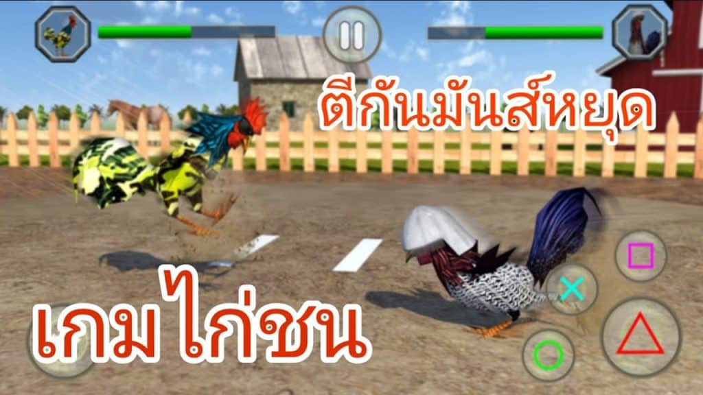 ไก่ชน อินเตอร์